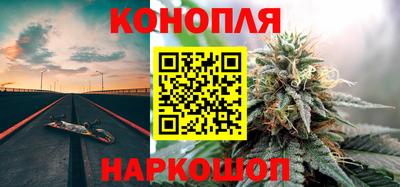 гашик Гай