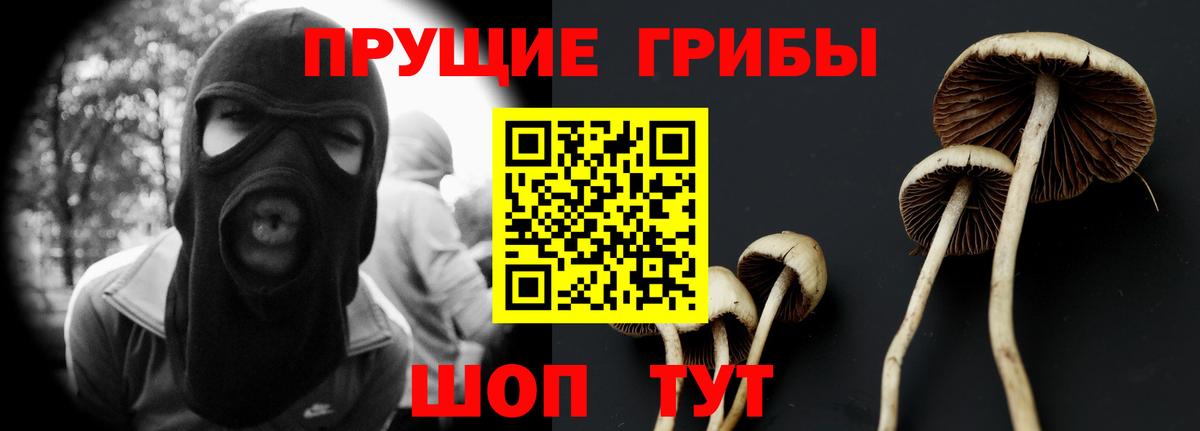 продажа наркотиков  Вход с VPN  Городец  Галлюциногенные грибы Psilocybe 